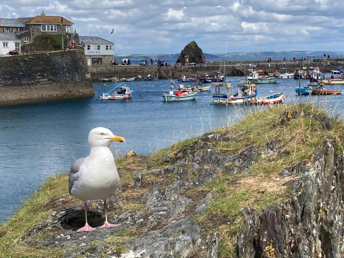 Finest Retreats - Backlet Cottage - Mevagissey Cottage Sleeps 4 外观 照片